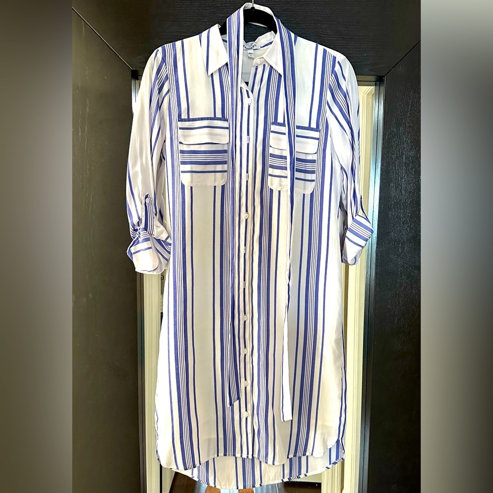 Express city shirt dress